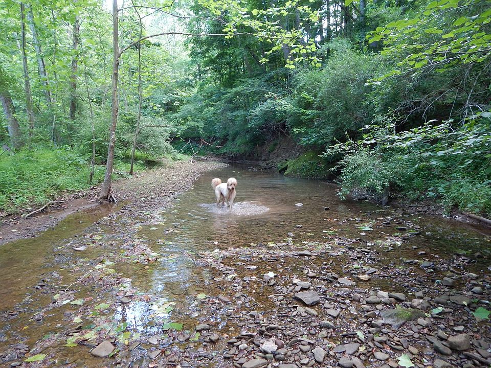 43rd image of 1597 Devil Hole Rd