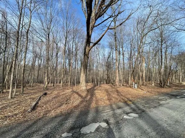 1414 E Elm Valley Rd, Buchanan, MI 49107