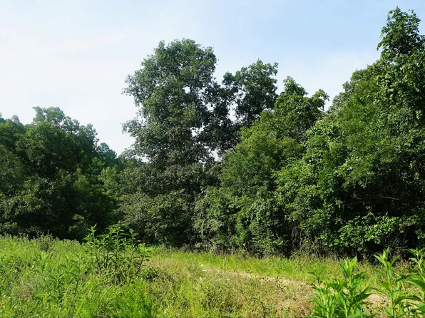 252 Douglas County Road #8, Ava, MO 65608