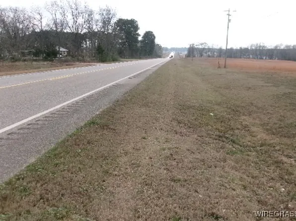8995 Montgomery Hwy, Luverne, AL 36049