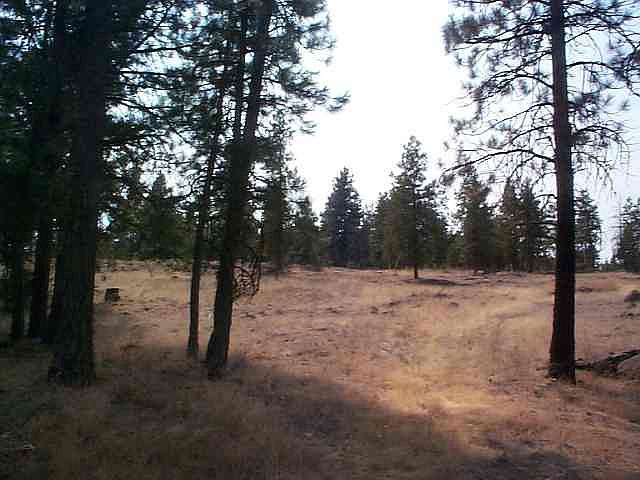 2nd image of 0 W Watt Rd