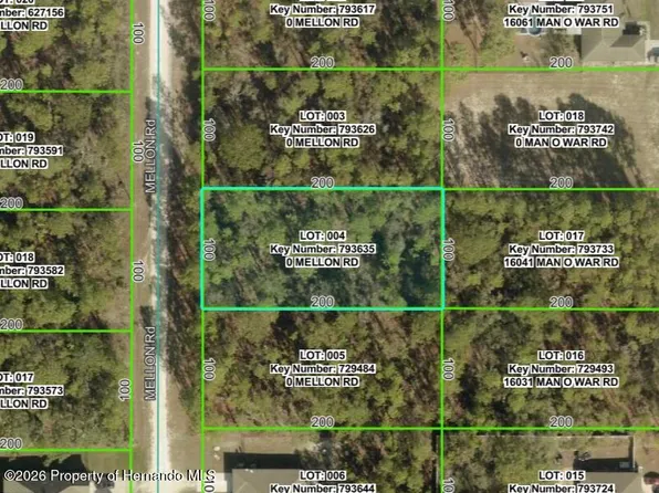 16036 Mellon Rd, Brooksville, FL 34614