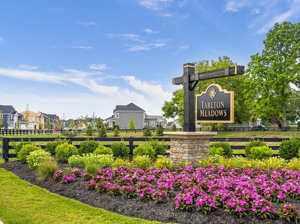 Bradford Plan, Tarlton Meadows