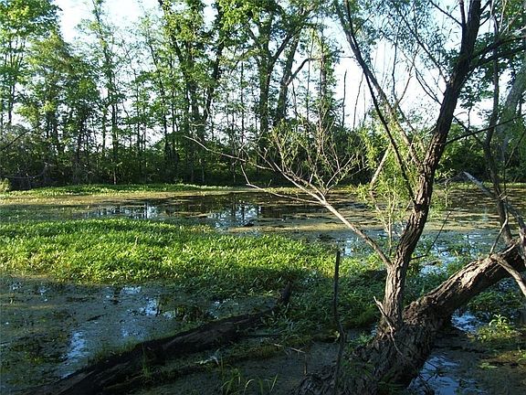 4th image of 0 Idaho Rd