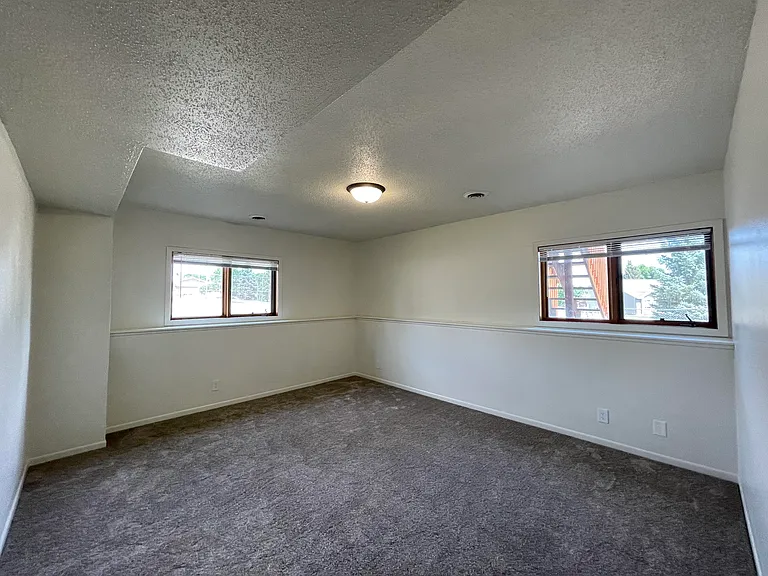 Large lower level Family room