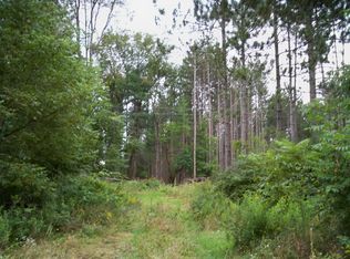 141 Squashville Rd, Greenfield Center, NY 12833