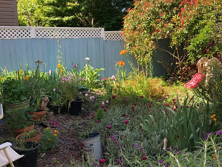 Garden next to cottage