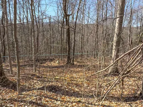 975 Stratton Arlington Road, Wardsboro, VT 05360