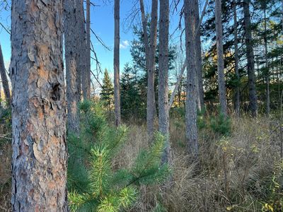 0 State Highway 23 S, Sandstone, MN, 55072