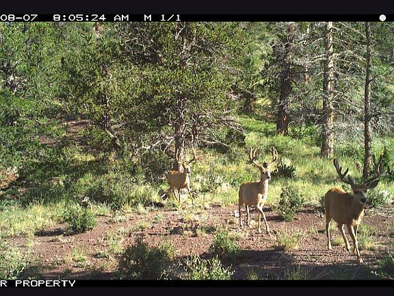 5th image of Spanish Peaks Ranch Ests #1