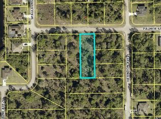 734 Palmer St E, Lehigh Acres, FL 33974