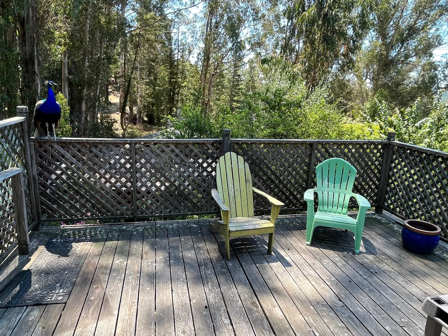 Furlong Rd, Sebastopol — Photo 1