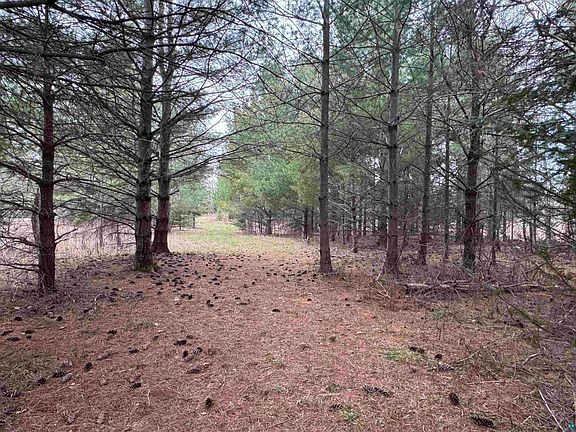 4th image of E Lund Rd
