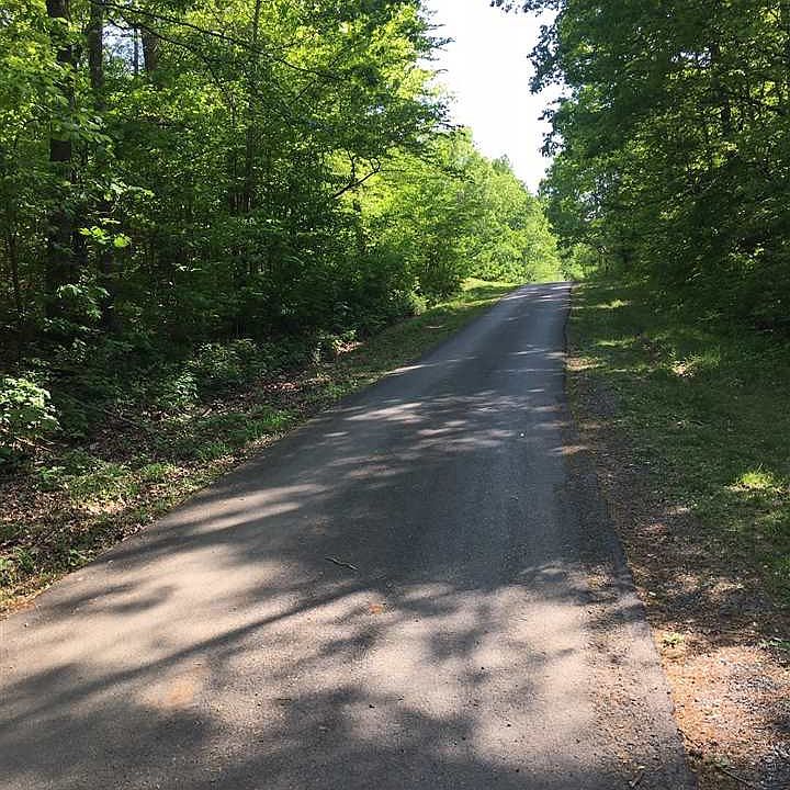 2nd image of Bloom Dr
