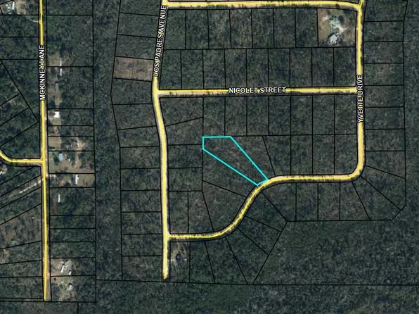 0 Yvette Dr #4, Alford, FL 32420