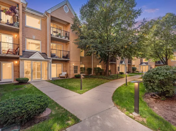 8700 W Evelyn Ln APT 204, Chicago, IL 60656