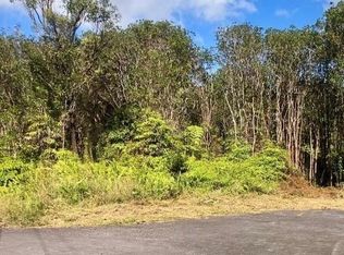 Heno St, Mountain view, HI 96771