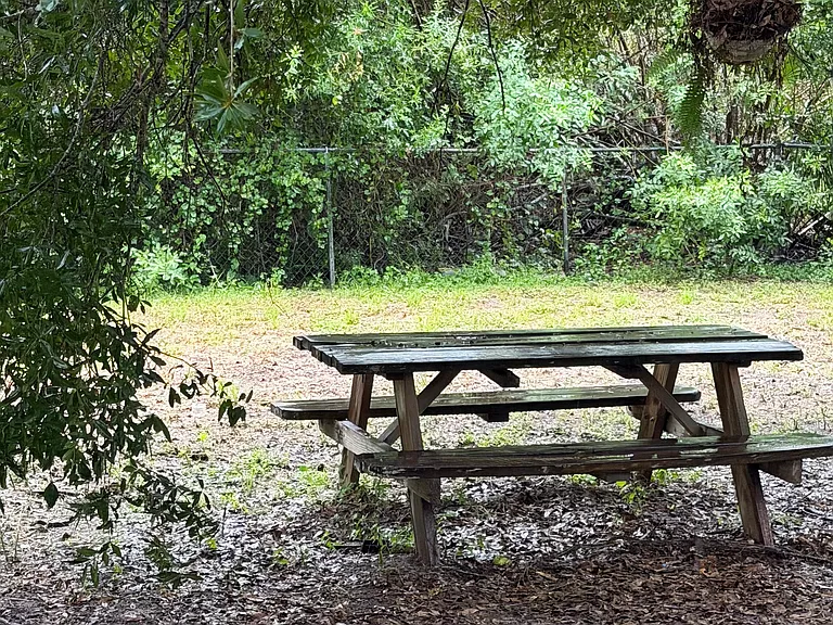 Shaded area in back yard with picnic table for outdoor dining