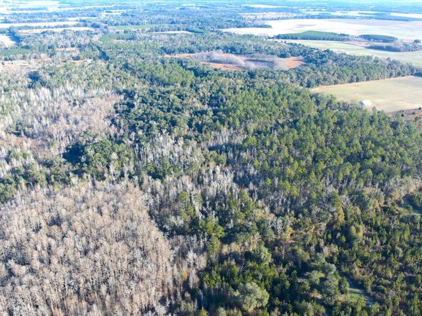 X Logan Loop Rd, Malone, FL 32445