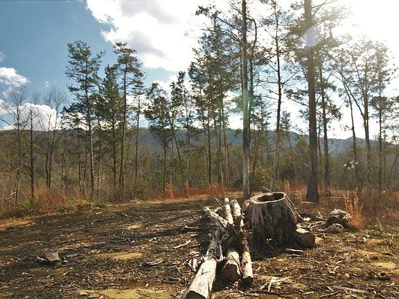 3rd image of 341 County Road 481