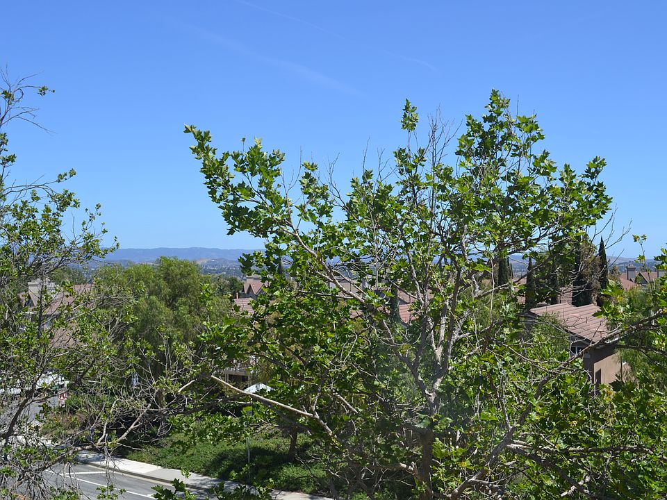 Saddleback Mountains View