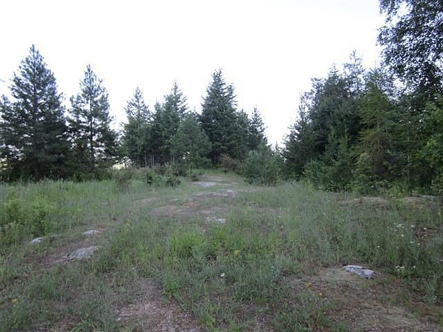 2nd image of Nna Juniper Rd