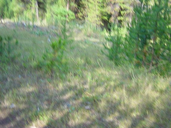 3rd image of Nhn Island Lake Dr