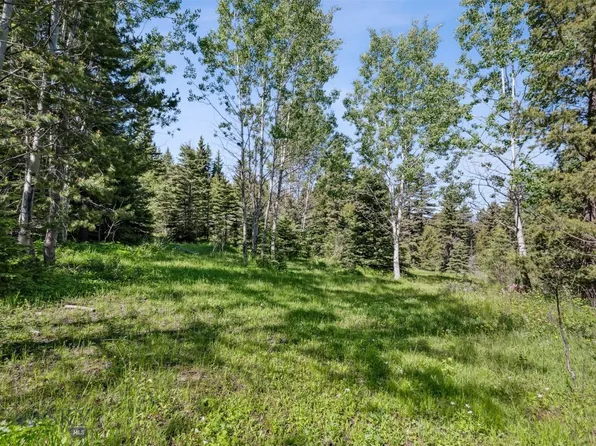 Smokey Mountain Dr, Anaconda, MT 59711