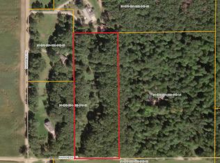 9900 Harkness Rd, Belding, MI 48809