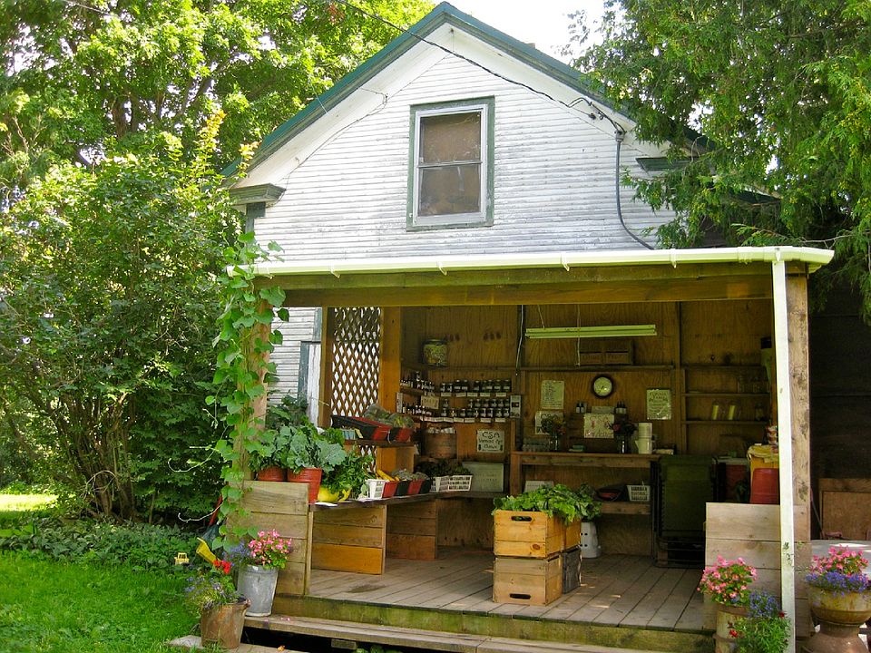 House, North side w/lean-to