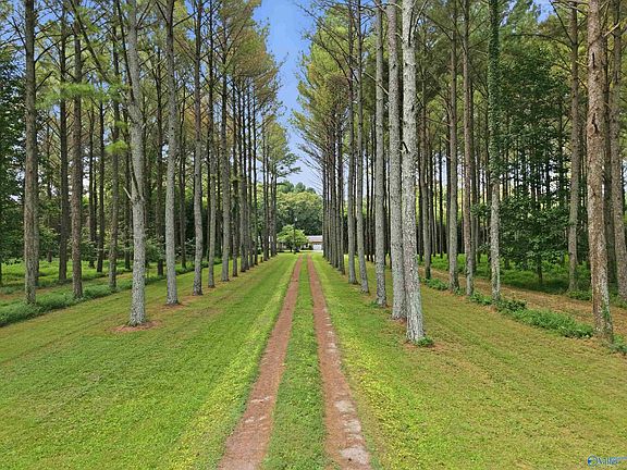 3rd image of 328 Old Highway 431