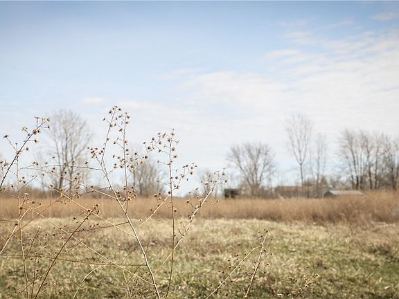 3rd image of 3rd Rocky Rdg