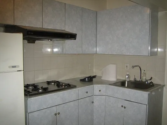 Rented by Citi Habitats | media 9