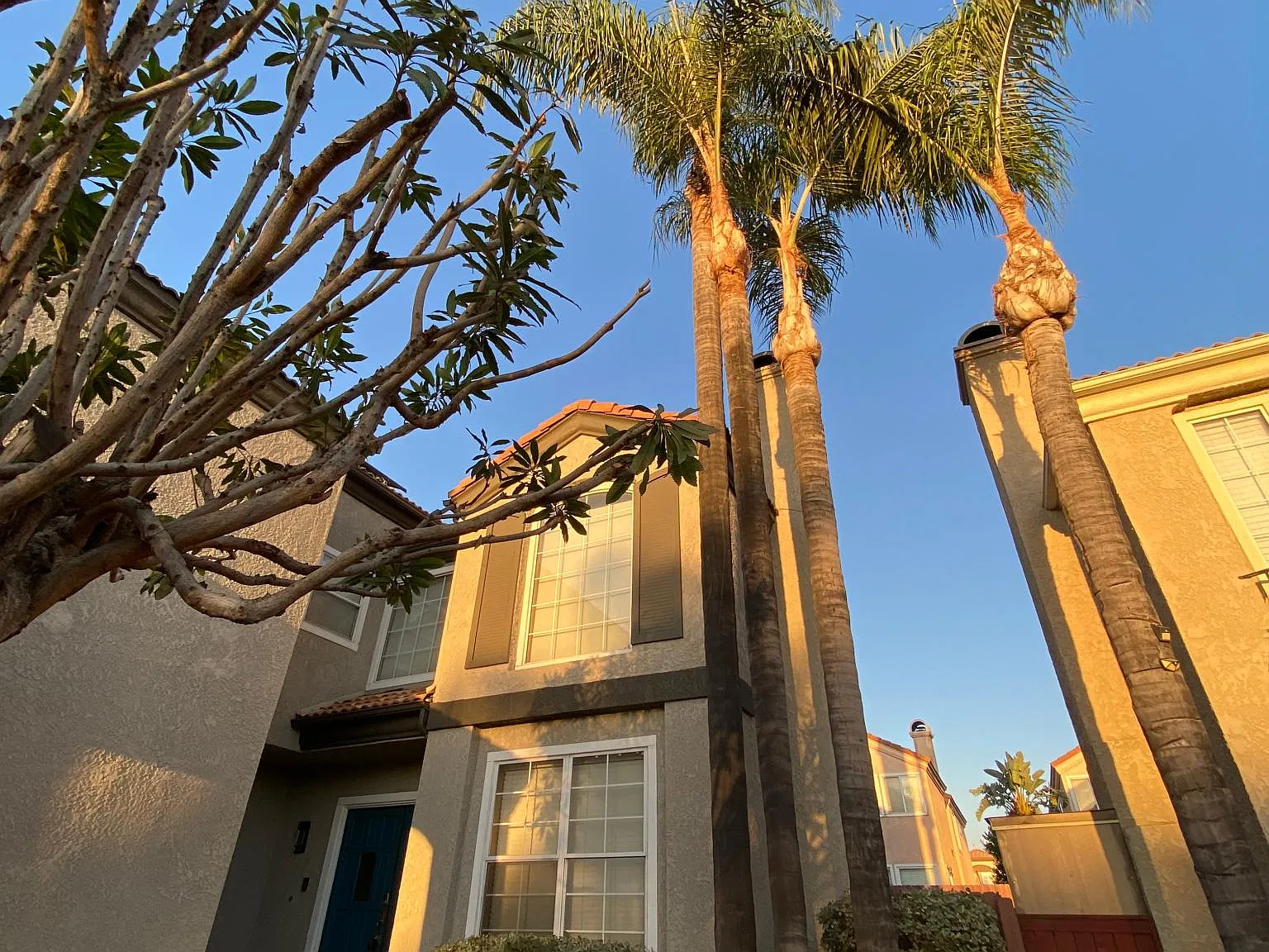 3 bed, 2.5 bath, 1934 sqft, $3,240 — Photo 2