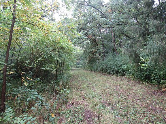 5th image of 3119 S Highway 11
