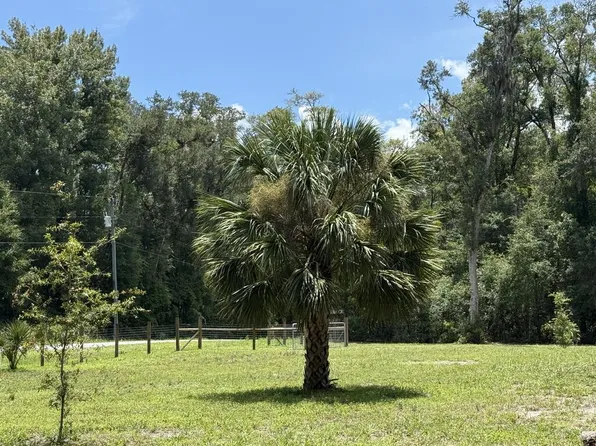 110 NE 558th St, Old Town, FL 32680