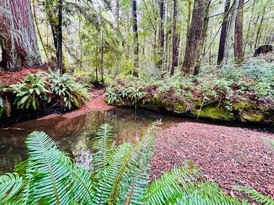 0 Briceland Thorn Rd, Piercy, CA, 95587