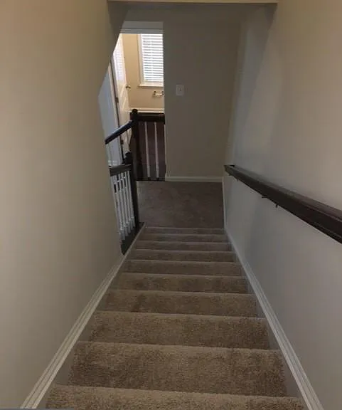 856 Nancy Lynn Ln — Photo 21