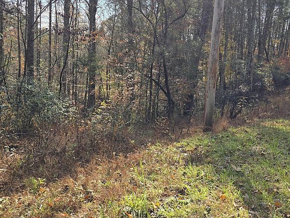 2nd image of 9 Montevallo Rd Lot 9