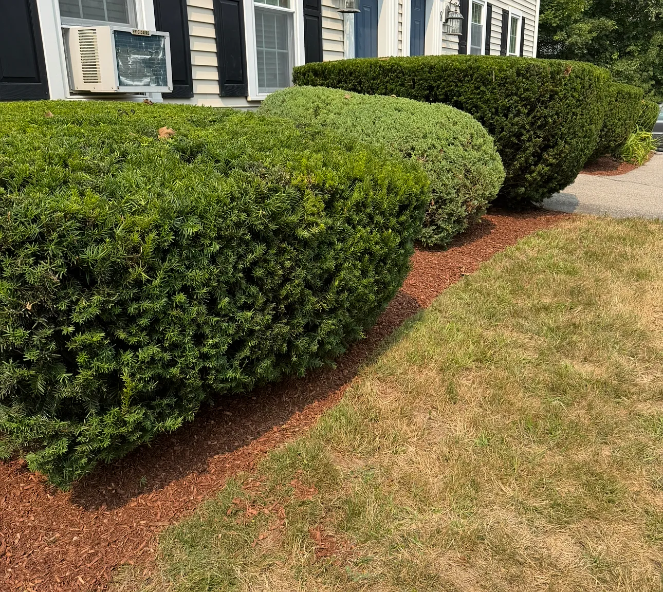 Sharlene Ln, Plainville — Photo 2
