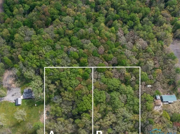 0 Manore Rd Lot B, Grand Rapids, OH 43522
