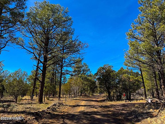 5th image of 11 Co Rd N3262 5 Acres -- #-