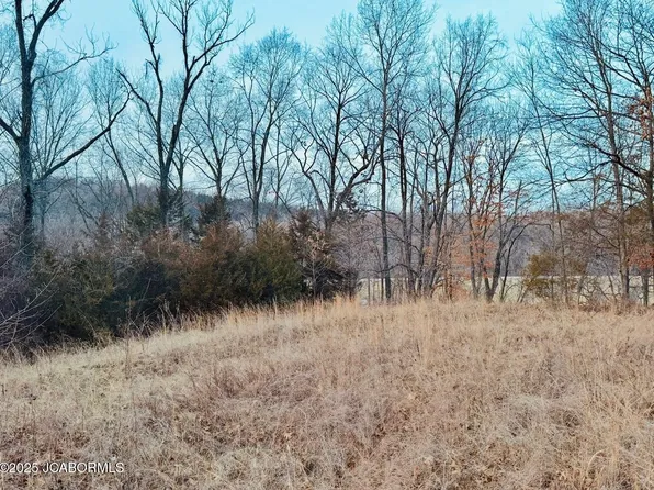 1249 Weatherview Dr, Holts Summit, MO 65043