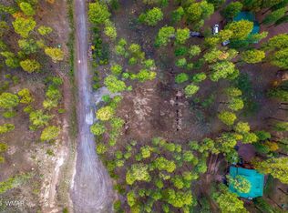 7 Eric Ln, Alpine, AZ 85920