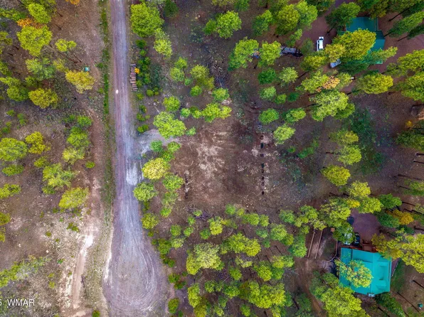 7 Eric Ln, Alpine, AZ 85920