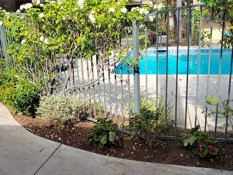 Palm Court Apartments — Photo 8