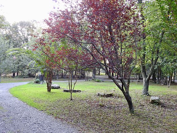 4th image of 520 Leonard Ln