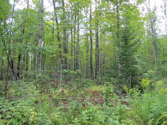 2nd image of Tbd Herzog Rd.
