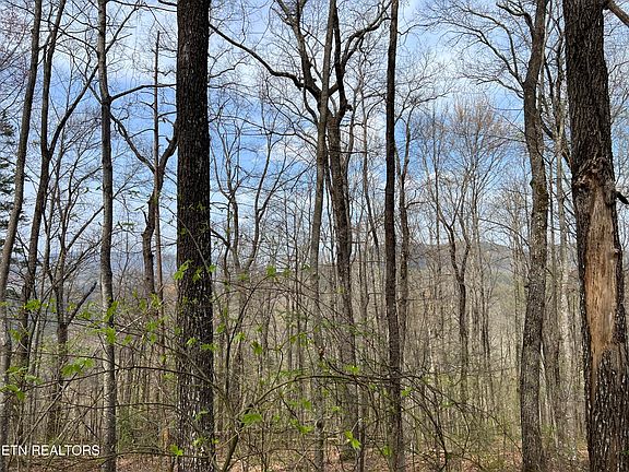 4th image of LOT 49 Patriot Ln