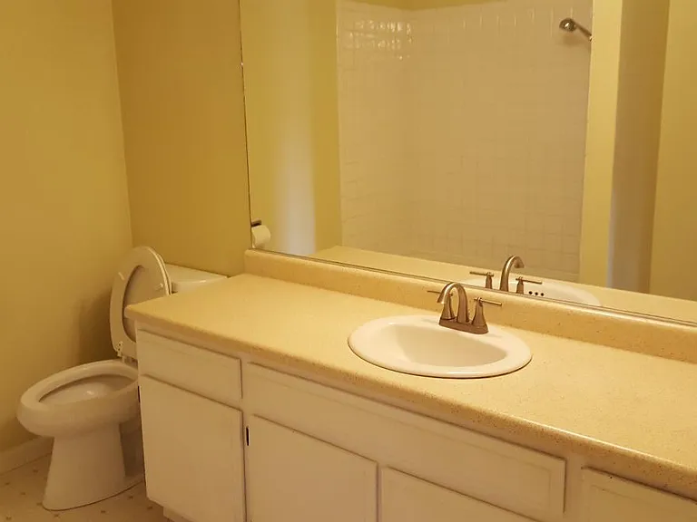 Second Bath with shower and tub